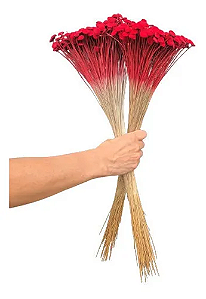 Maço De Sempre Viva Bolinha Vermelha Seca Natural-2UN
