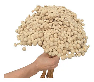 Maços De Sempre Viva Bolinha Branca Seca Natural-3UN