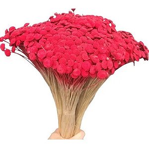 Sempre Viva Bolinha Botão Veludo Decoração  Arranjo