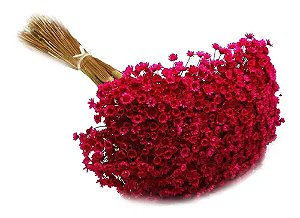 Sempre Vivas Decoração Casamento Enfeite Rosa Pink-1000