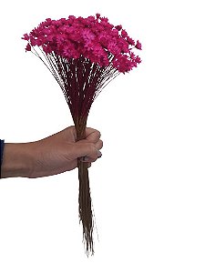 Sempre Vivas Decoração Casamento Lembrança Pink-200