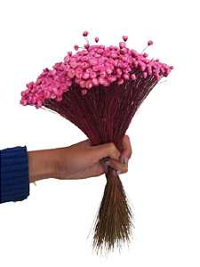 Sempre Vivas Decoração Casamento Lembrança Rosa-600UN