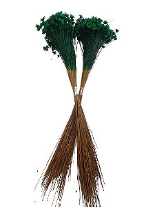 Sempre Vivas Decoração Casamento Lembrança Verde Escuro-200