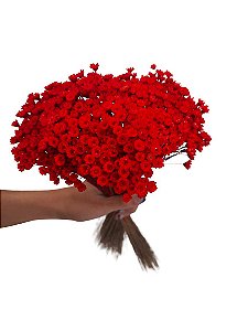 Sempre Vivas Decoração Casamento Lembrança Vermelha-400