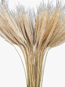 Haste Trigo Seco Natural Decoração Enfeite-90UN