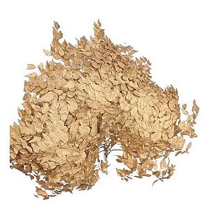 Folhas De Avenca Dourada Desidratada Enfeite Decoração