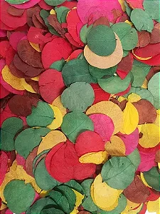 Folhas Moedas Mistas Seca Decoração Enfeite