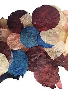 Folhas Secas Mista Decoração Enfeite 150g