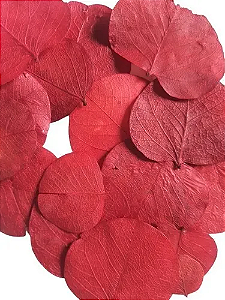Folhas Secas Vermelha Decoração Ornamentação-100 Folhas