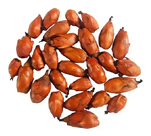 Abacaxizinho Irajá Laranja Seco Decoração Enfeite