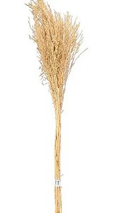 Capim Arrozinho Para Decorção Enfeite  Ornamentação Presente