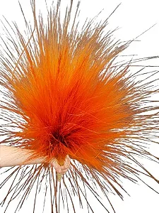 Capim Rabo De Burro Natural Laranja Decoração Enfeite