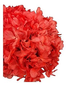 Flor De Hortência Vermelha Seca Natural Decoração