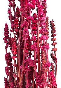 Flor De Rubi Seca Rosa Pink Pintada Maço Com 5 Varas Decoração Enfeite