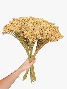 Flor Espeta Nariz Seca Natural Decoração ( 3 Maço )