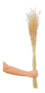 Maço De Brinco De Princesa Com Flor Seca Natural Decoração