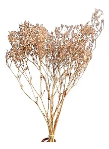 Mosquitinho Egipsofila Natural Seco Para Arranjos Decoração
