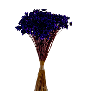 Sempre Viva Florzinhas Roxa 500 Unidades