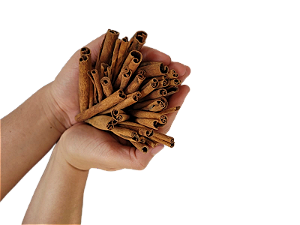 canela em pau Seca para Decoração Enfeite