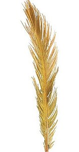 Folha Cica Decoração Ornamentação Enfeite