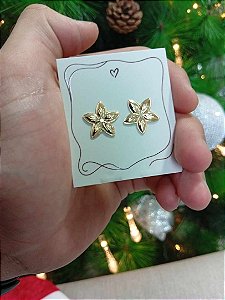 Brinco Flor 5 Pétalas Trabalhada