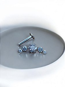 Cluster com Zircônias e Flor Titânio