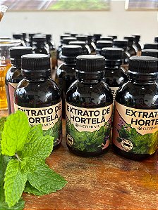 🌿 Extrato de Hortelã Germina Saúde