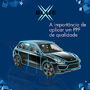Curso Profissional PPf Nível 1 (Iniciante)