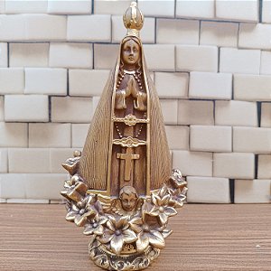 Nossa Senhora Aparecida Rosas - Coleção Terracota
