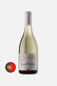José Piteira Branco