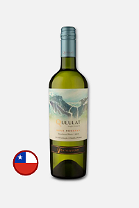 Ventisquero Queulat Gran Reserva Sauvignon Blanc