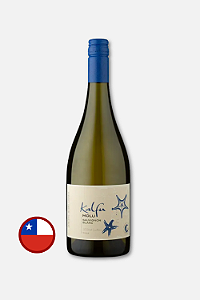 Kalfu Molu Sauvignon Blanc