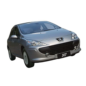 Retífica de Motor Peugeot 307