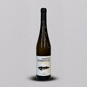 PEQUENOS REBENTOS LOUREIRO 2022