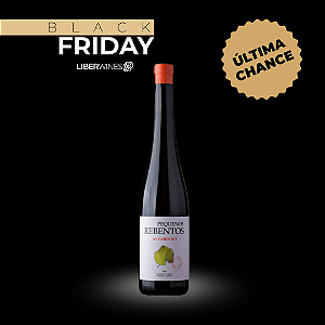 PEQUENOS REBENTOS ALVARINHO 2022