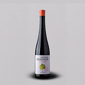 PEQUENOS REBENTOS ALVARINHO 2022