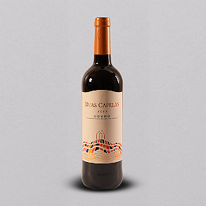 VINHO TINTO DUAS CAPELAS DOURO 2021