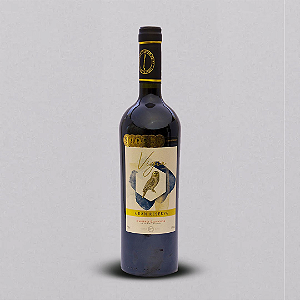 VIGIA GRAN RESERVA CABERNET SAUVIGNON 2021