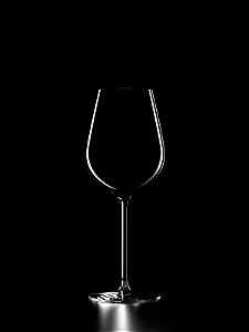 TAÇA LEHMANN UNIVERSAL | HOMMAGE 38
