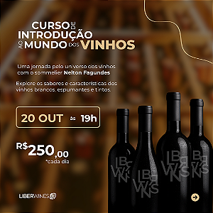 Curso Mundo dos Vinhos DIA 1