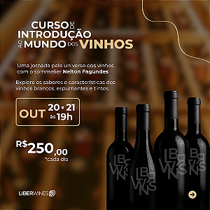 Curso Mundo dos Vinhos (completo 2 dias)