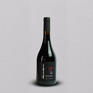 MARIA MARIA JUNIA SYRAH 2024