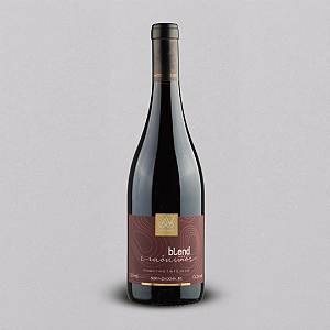 VINHO TINTO SINÔNIMOS BLEND - 750ML