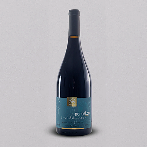 VINHO TINTO SINÔNIMOS MARSELAN- 750ML