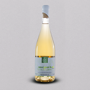 VINHO BRANCO SINÔNIMOS SAUVIGNON BLANC - 750ML