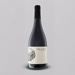 VINHO TINTO VALE DA PEDRA 2023 - 750ML