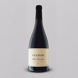 VINHO TINTO GUASPARI SYRAH VISTA DO CHÁ 2021 - 750ML