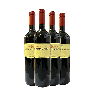 Vinho Argentino Tinto Angélica Zapata - Cabernet Sauvignon (4 Un.)