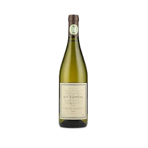 DV Catena Chardonnay-Chardonnay 2022 750 ml Argentina