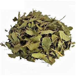 Chá Espinheira Santa 100g